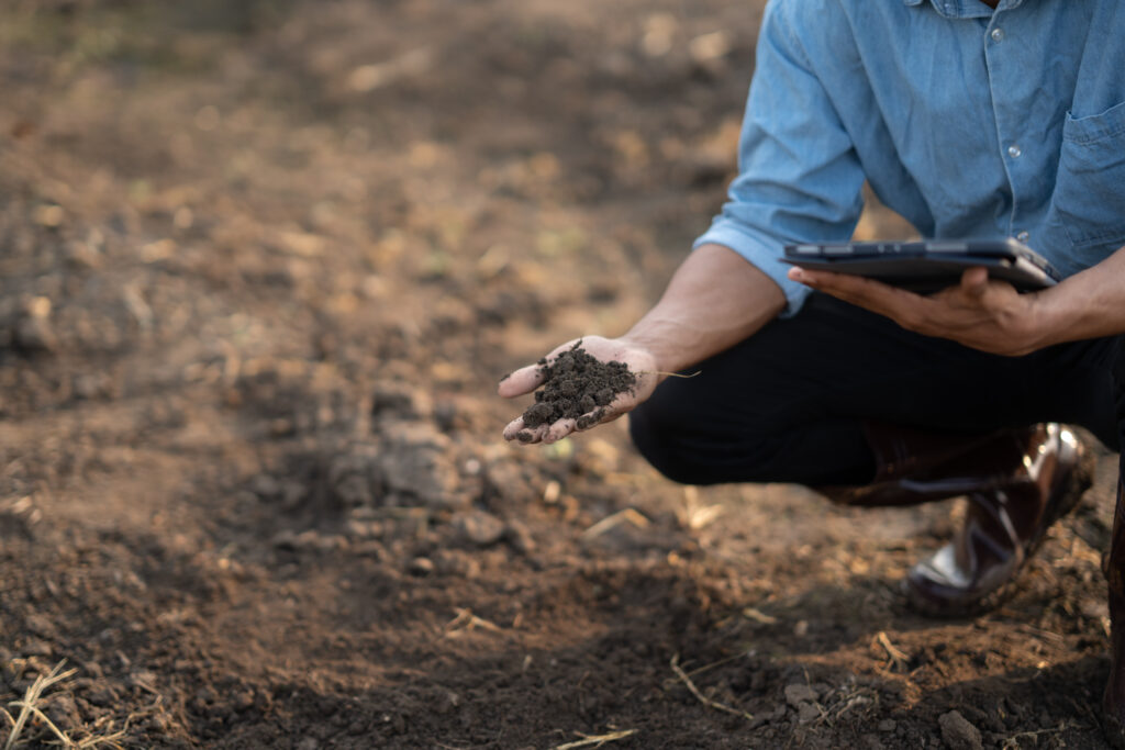 Close up view of farm owner examining soil in the field. inspect and test the soil during the proces